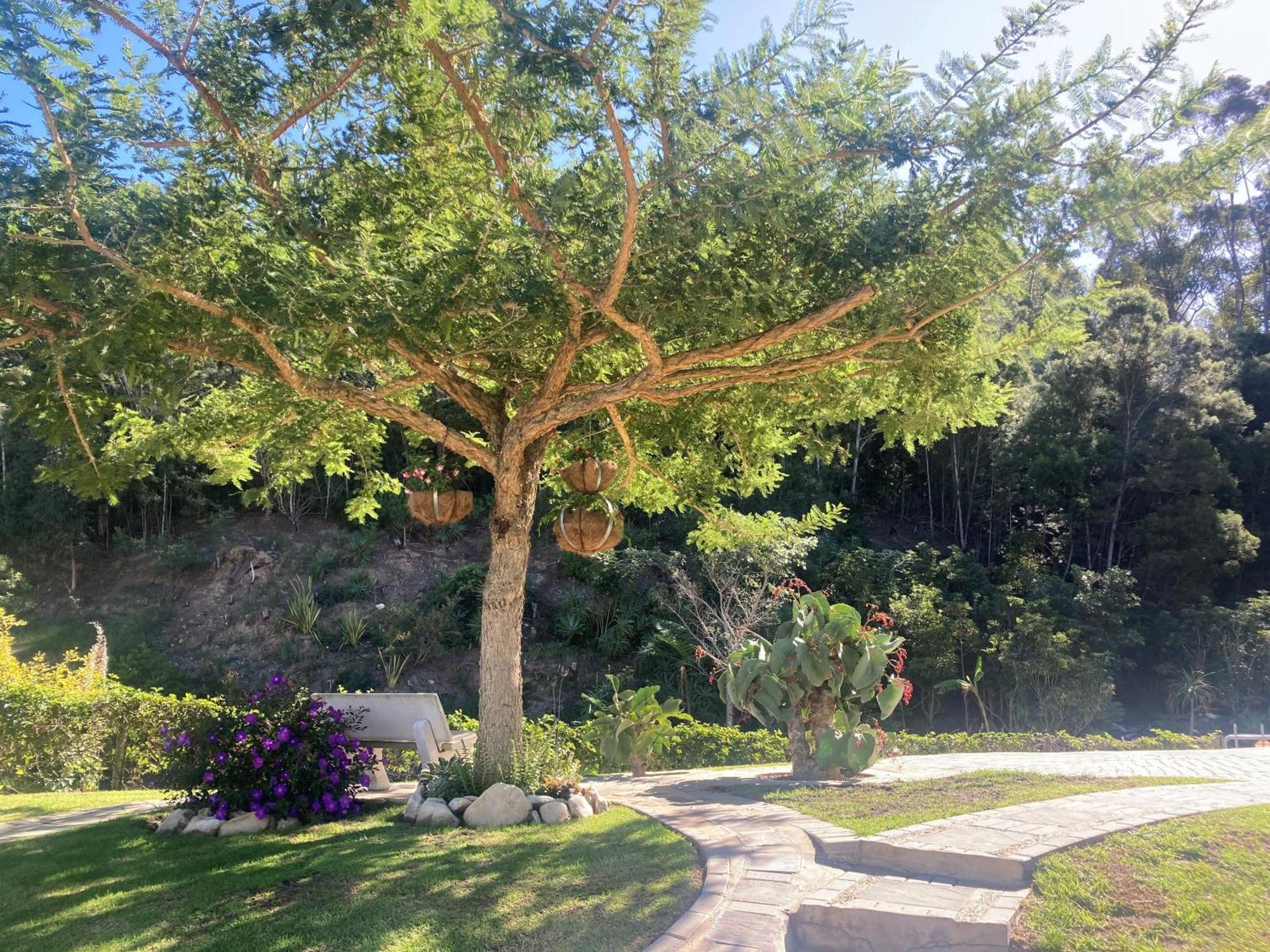 A Riverbed Guesthouse Swellendam Εξωτερικό φωτογραφία
